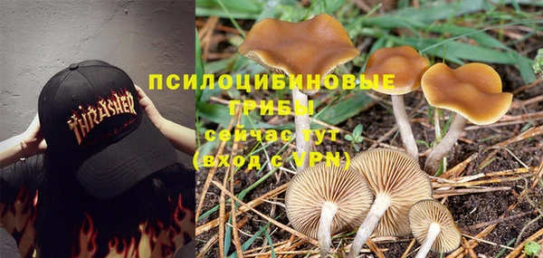 mdpv Няндома