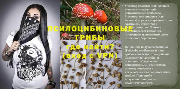 герыч Осинники