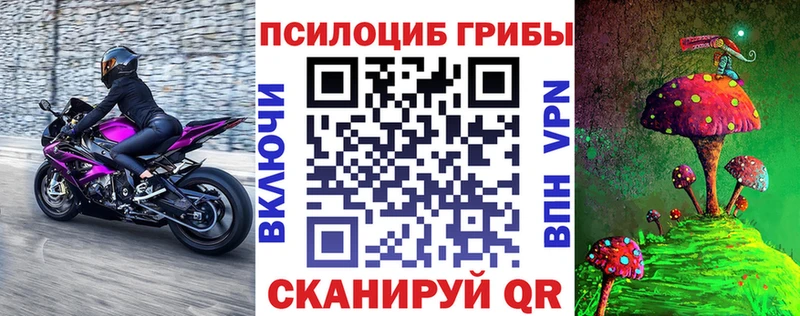 Псилоцибиновые грибы Cubensis  это какой сайт  Белоозёрский 