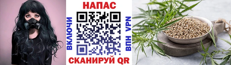Каннабис Bruce Banner  Белоозёрский 